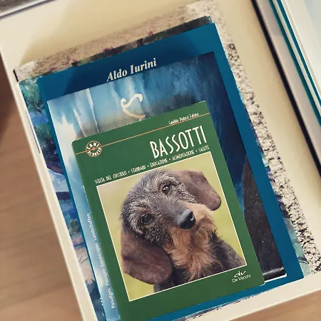 Maison Del Bassotto Διαμέρισμα *