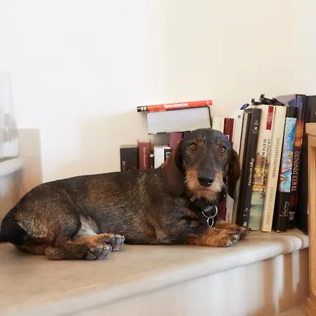 Appartamento Maison Del Bassotto *